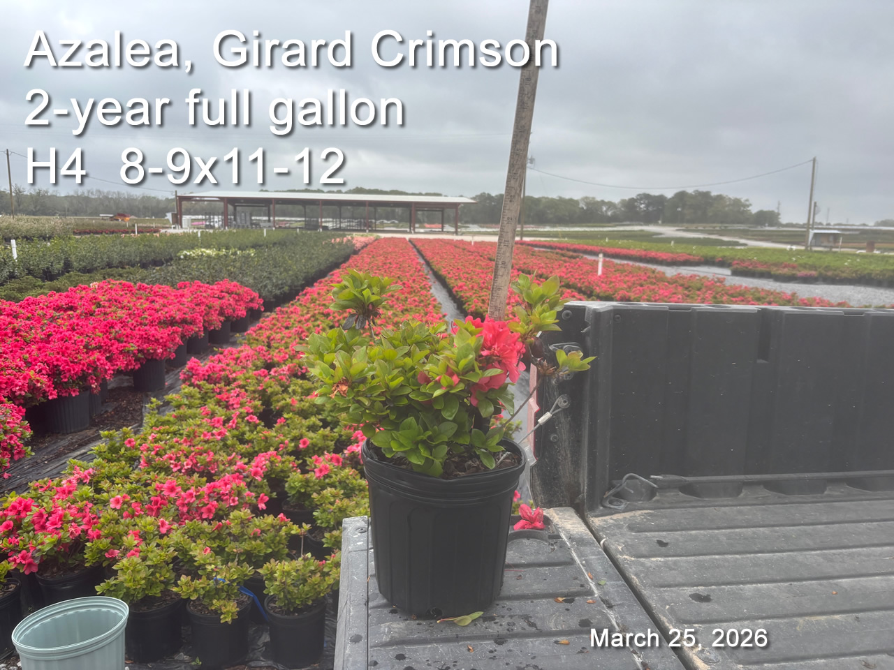 gallery/crim2yf h4 mar25.jpg